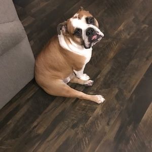 Meet your Posher, Steve